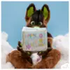 Furry